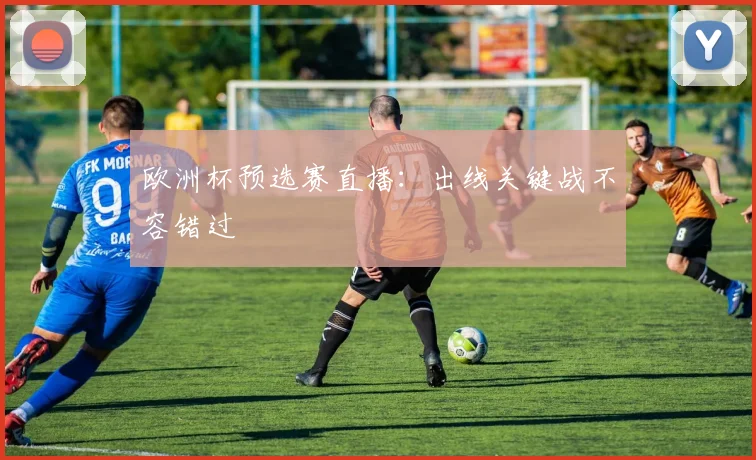 欧洲杯预选赛直播：出线关键战不容错过