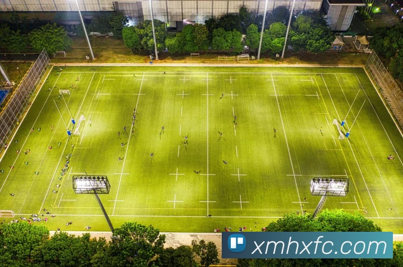 多媒体互动体验